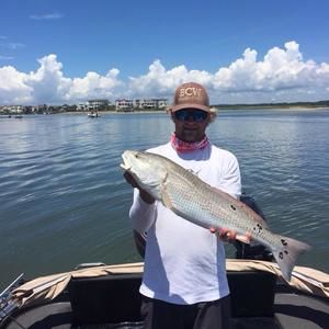 Meet your Posher, Taylor